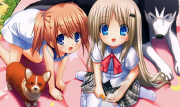 吃瓜每日爆料动漫视频,动漫圈大揭秘，精彩瞬间一网打尽！